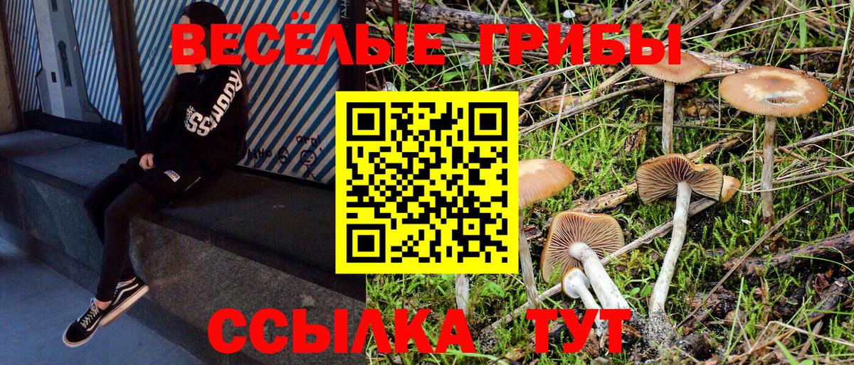 A PVP Глазов